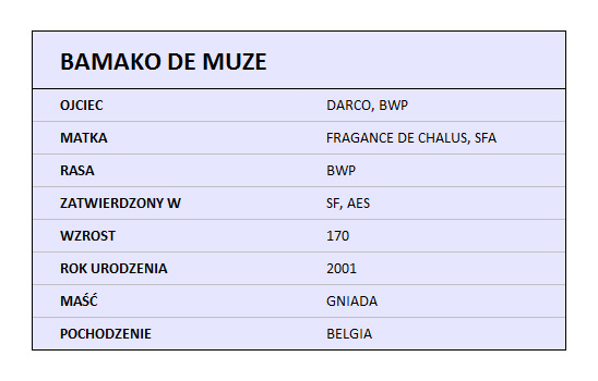 BAMAKO DE MUZE