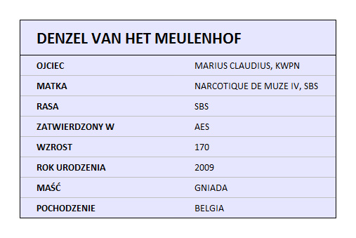 DENZEL VH MEULENHOF