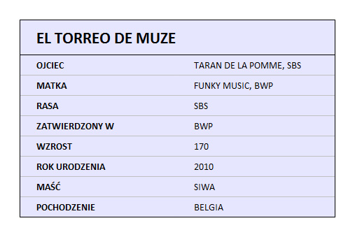 EL TORREO DE MUZE