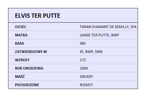 ELVIS TER PUTTE