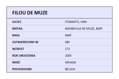 FILOU DE MUZE