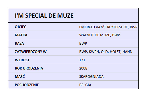 I'M SPECIAL DE MUZE