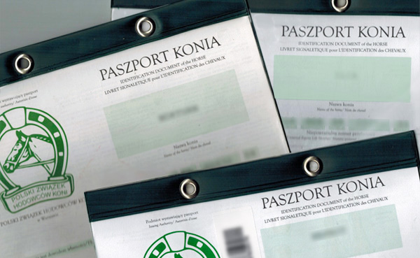 Paszporty i mikroczipy 