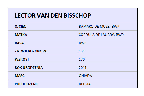 LECTOR VAN DEN BISSCHOP