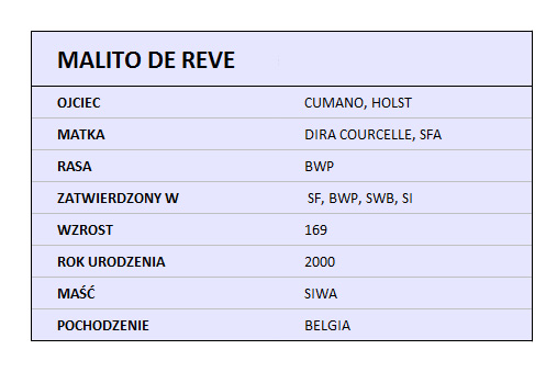 MALITO DE REVE